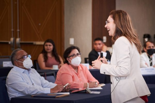 Profesional en curso
